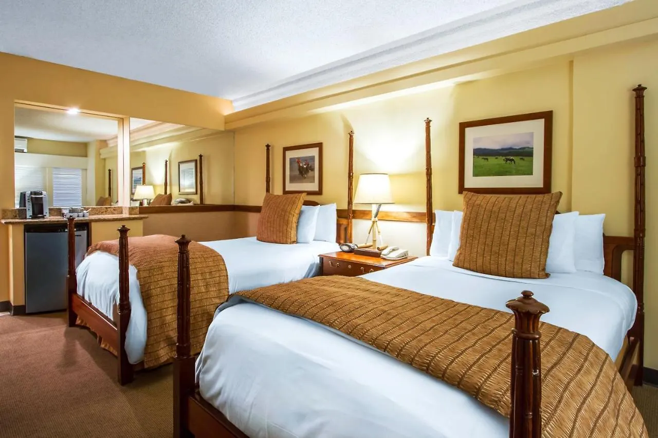 The Equus Hotel Honolulu