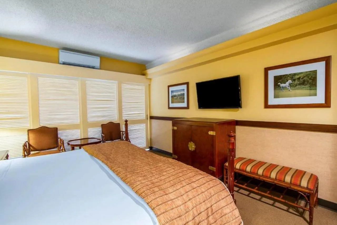 The Equus Hotel Honolulu