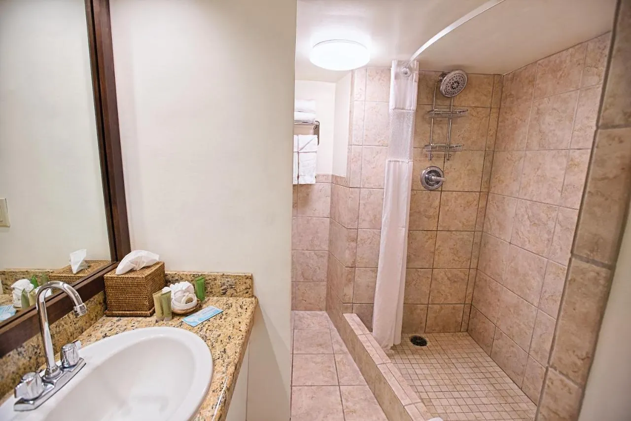 The Equus Hotel Honolulu